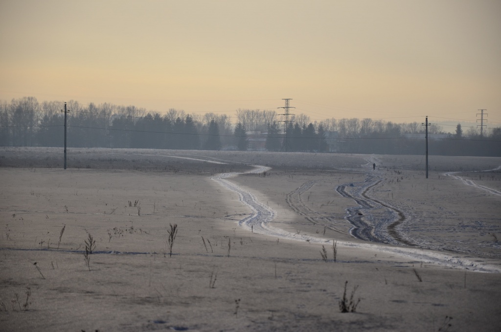 DSC_0142.JPG