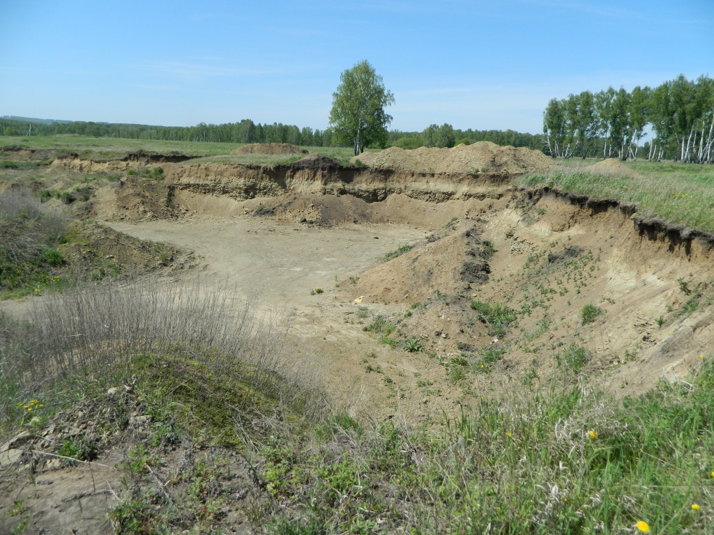 DSCN0865.JPG