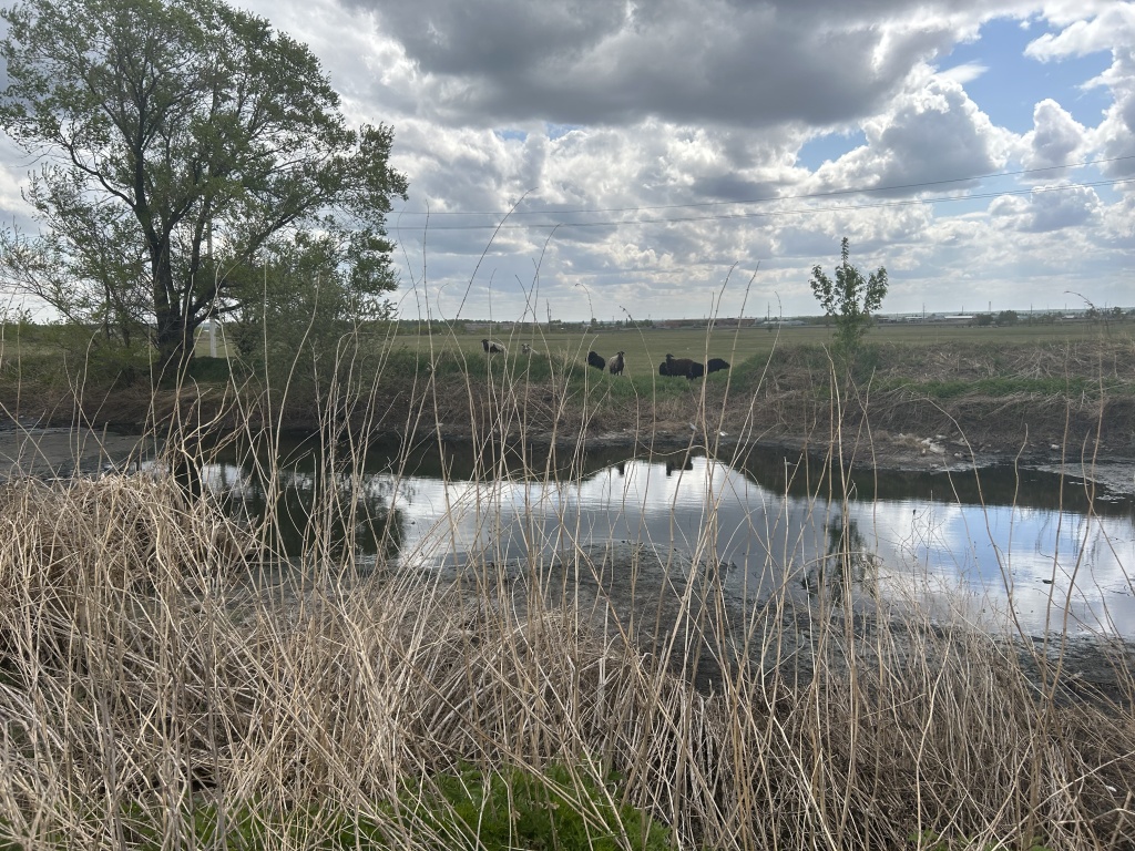 image-27-05-23-05-41-5.jpg