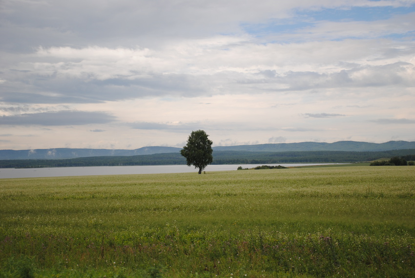 tanay-865623.jpg