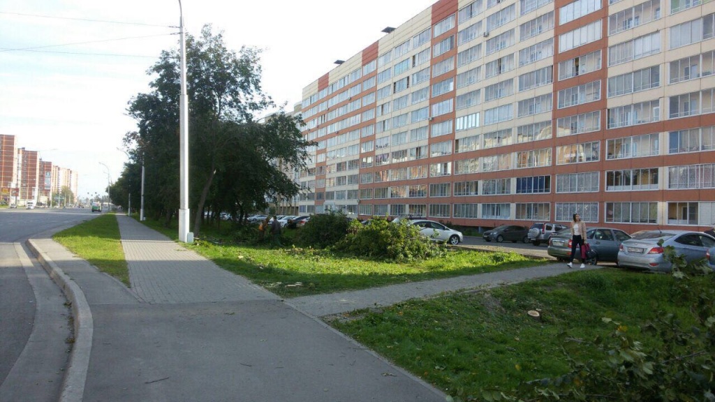 IMG_3926-06-09-17-04-43.JPG