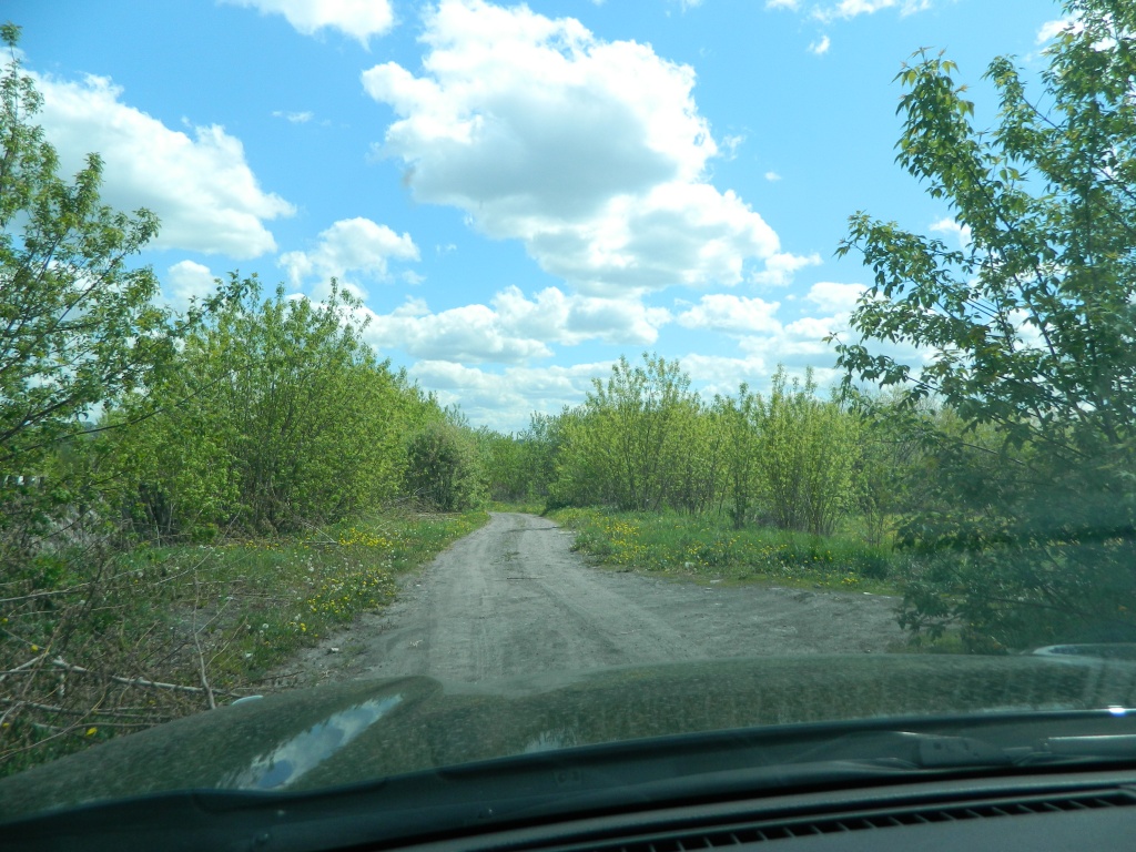 DSCN0913.JPG