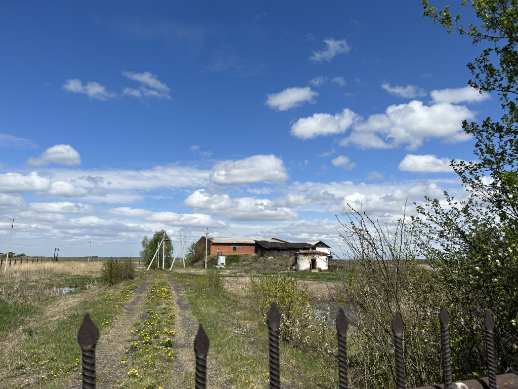 старые.jpg старые.jpg