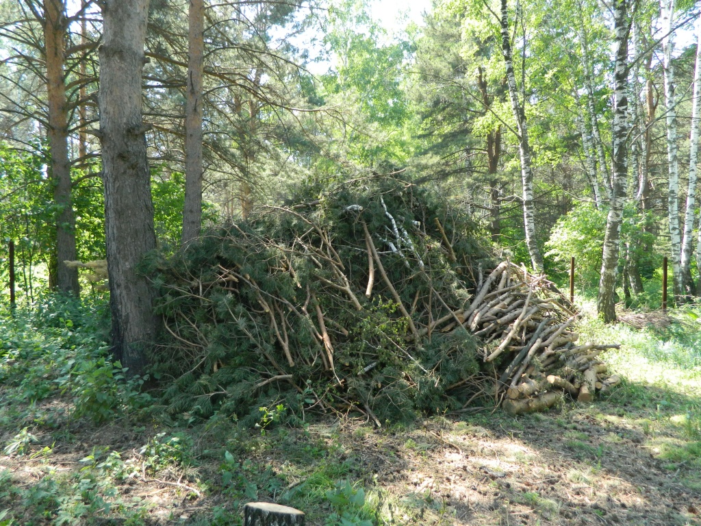 DSCN0969.JPG