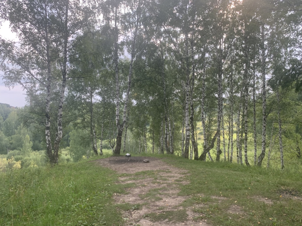image-31-07-22-06-45-9.jpg