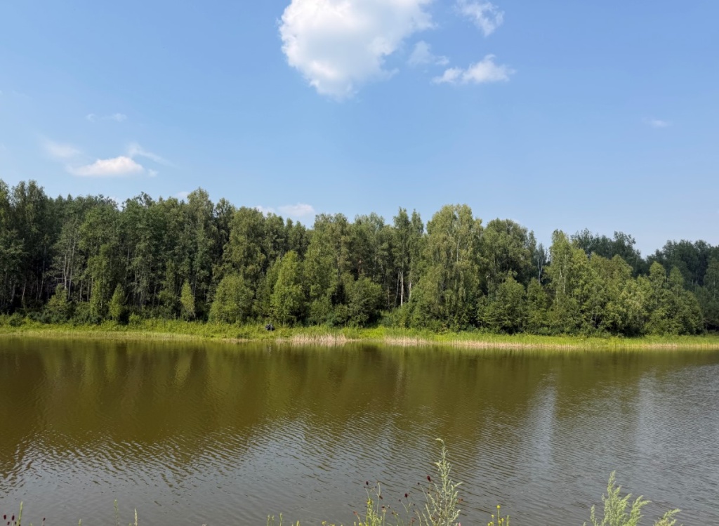 Screenshot_6.jpg