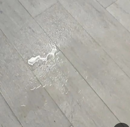 Screenshot_17.jpg
