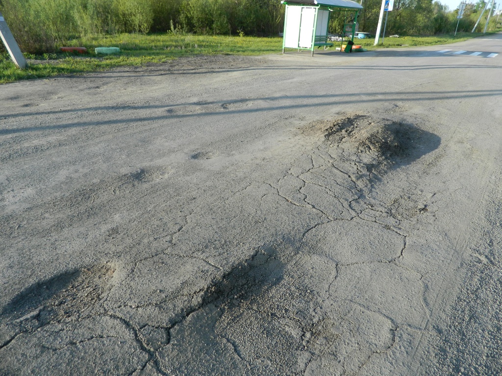 DSCN0787.JPG