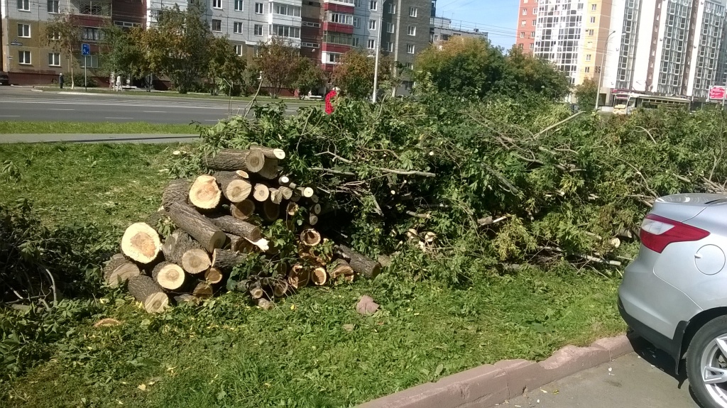 WP_20170906_006.jpg WP_20170906_006.jpg