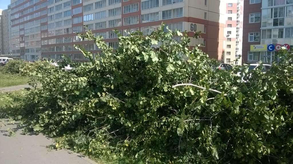 WP_20170906_003.jpg WP_20170906_003.jpg