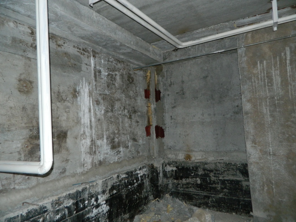 DSCN1042.JPG