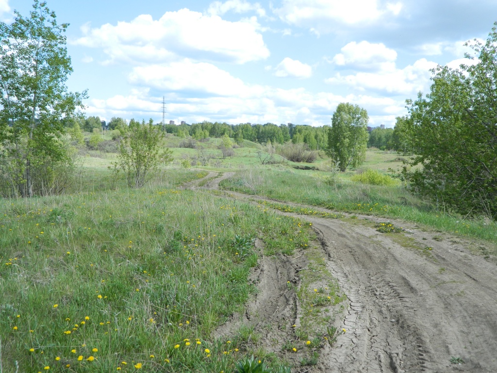 DSCN0924.JPG