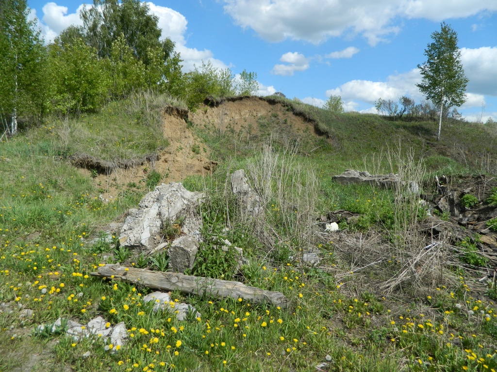 DSCN0930.JPG
