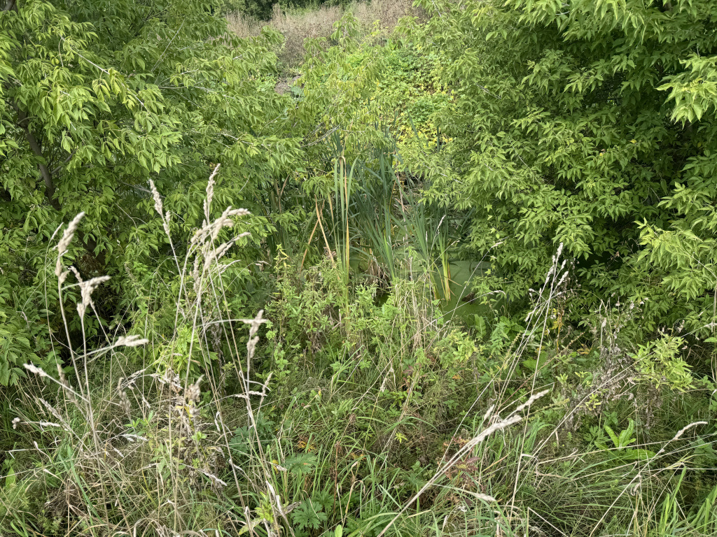 image-07-09-24-11-32-7.JPG