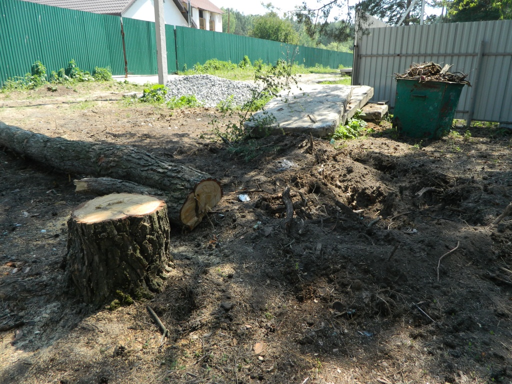 DSCN0973.JPG