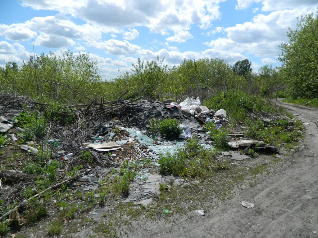 DSCN0915.JPG