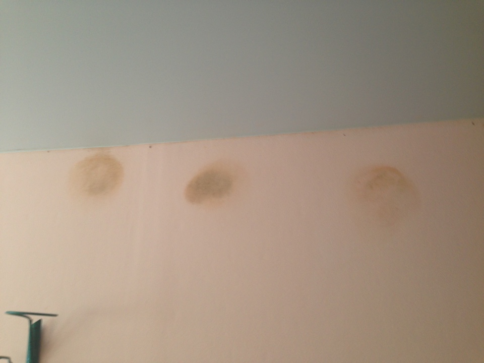 image-29-06-16-15-41-9.jpeg