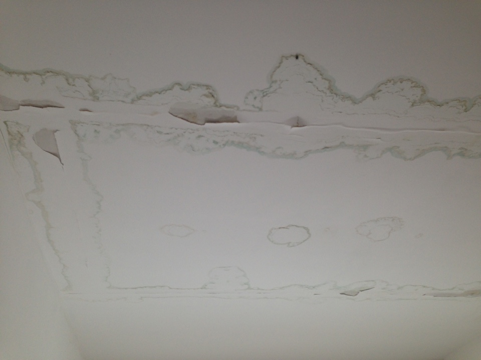 image-29-06-16-15-41-16.jpeg