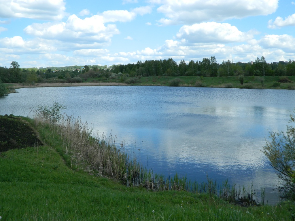 DSCN0920.JPG