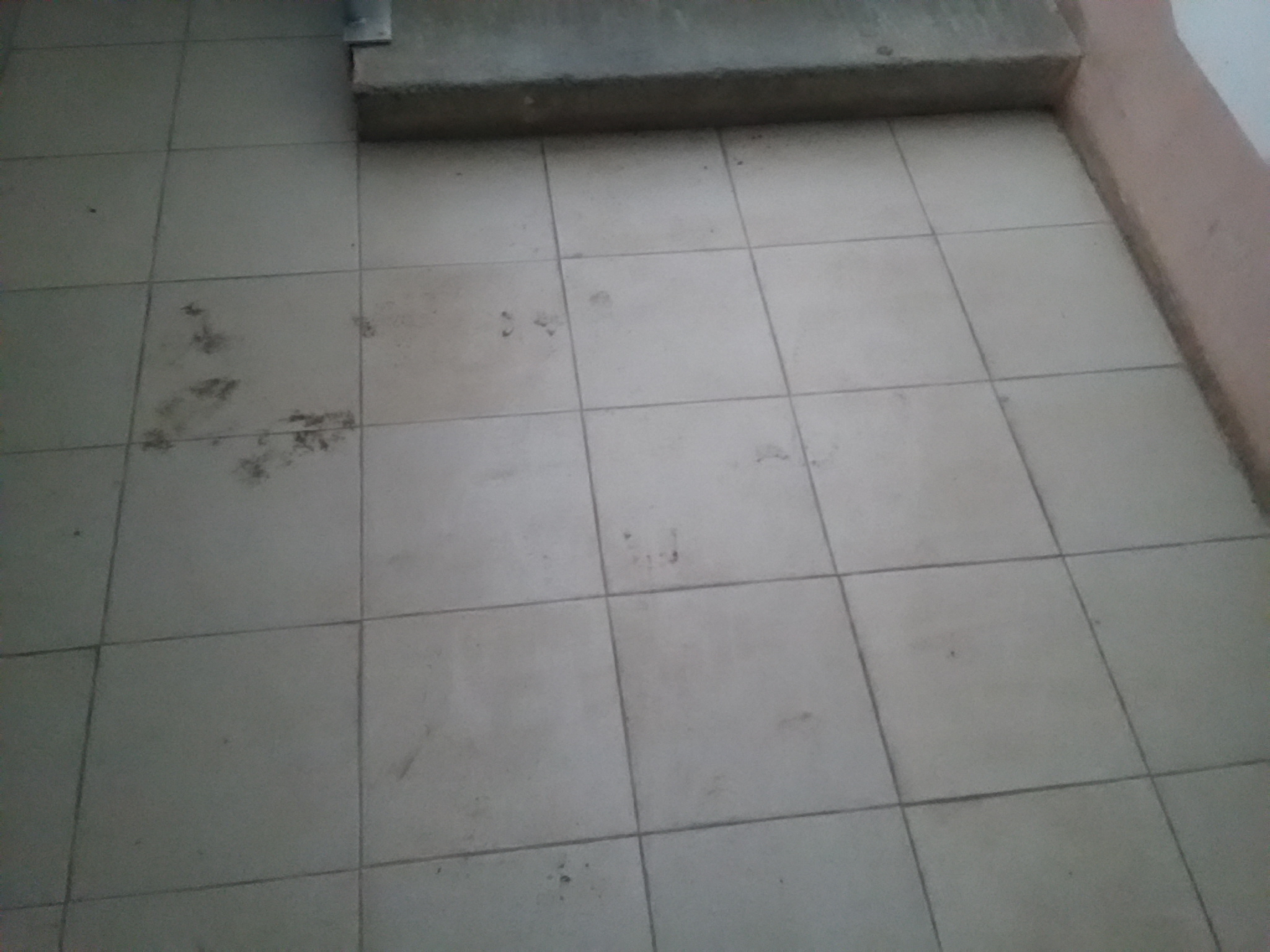 20170425_153528.jpg