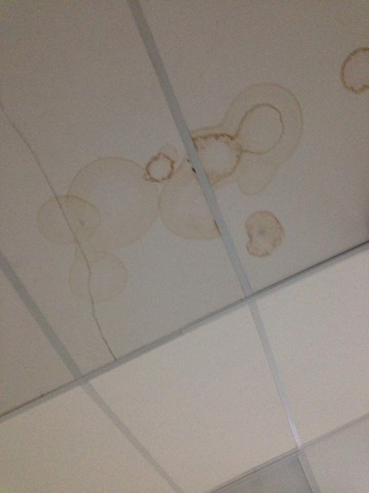 image-18-01-16-11-18-5.jpeg