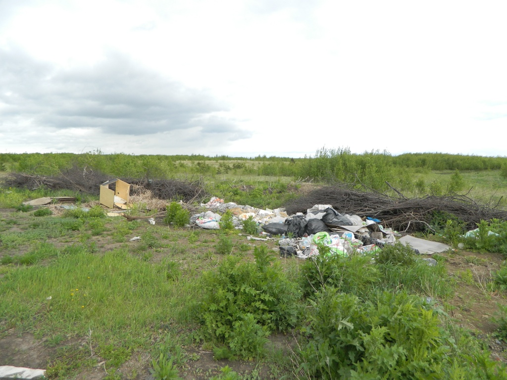 DSCN0880.JPG
