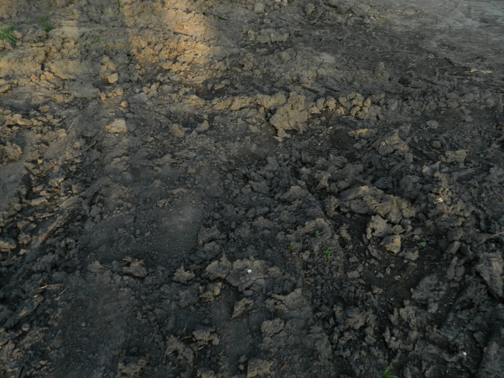 DSCN0800.JPG