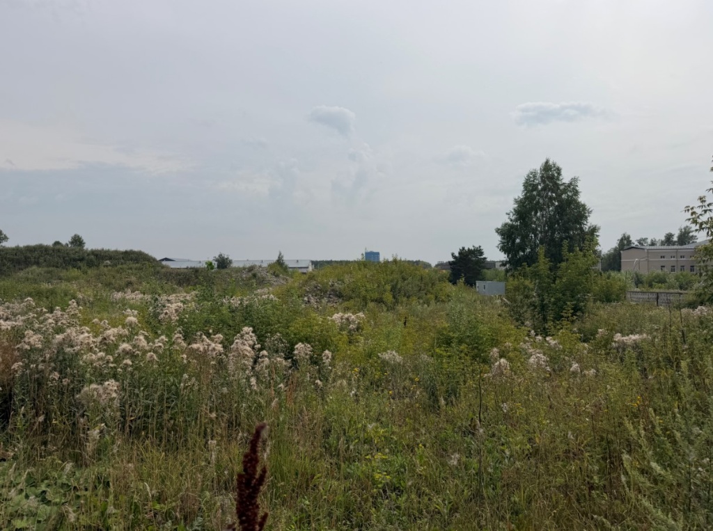 Screenshot_7.jpg