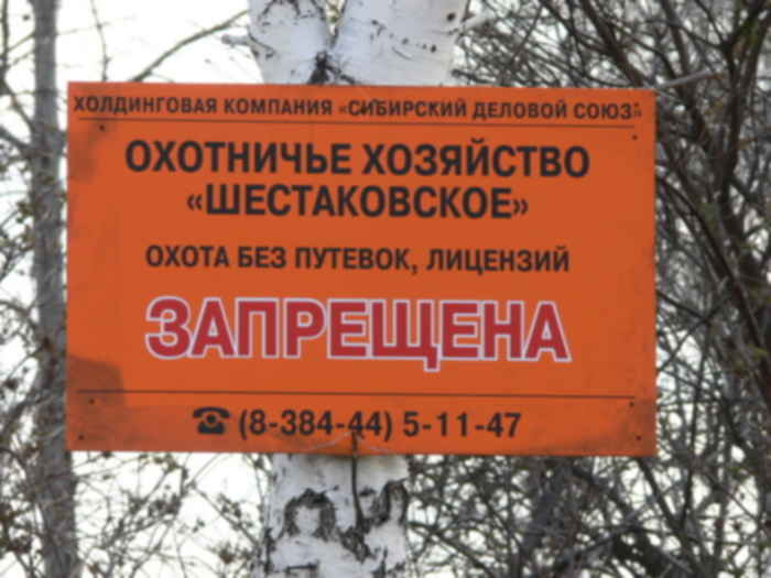 10006535.jpg