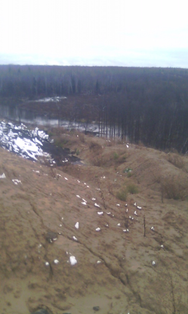 IMG_20151006_113937.jpg