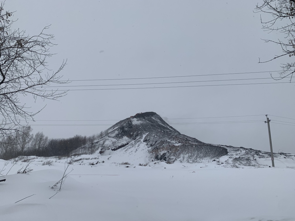 IMG_7863.jpg