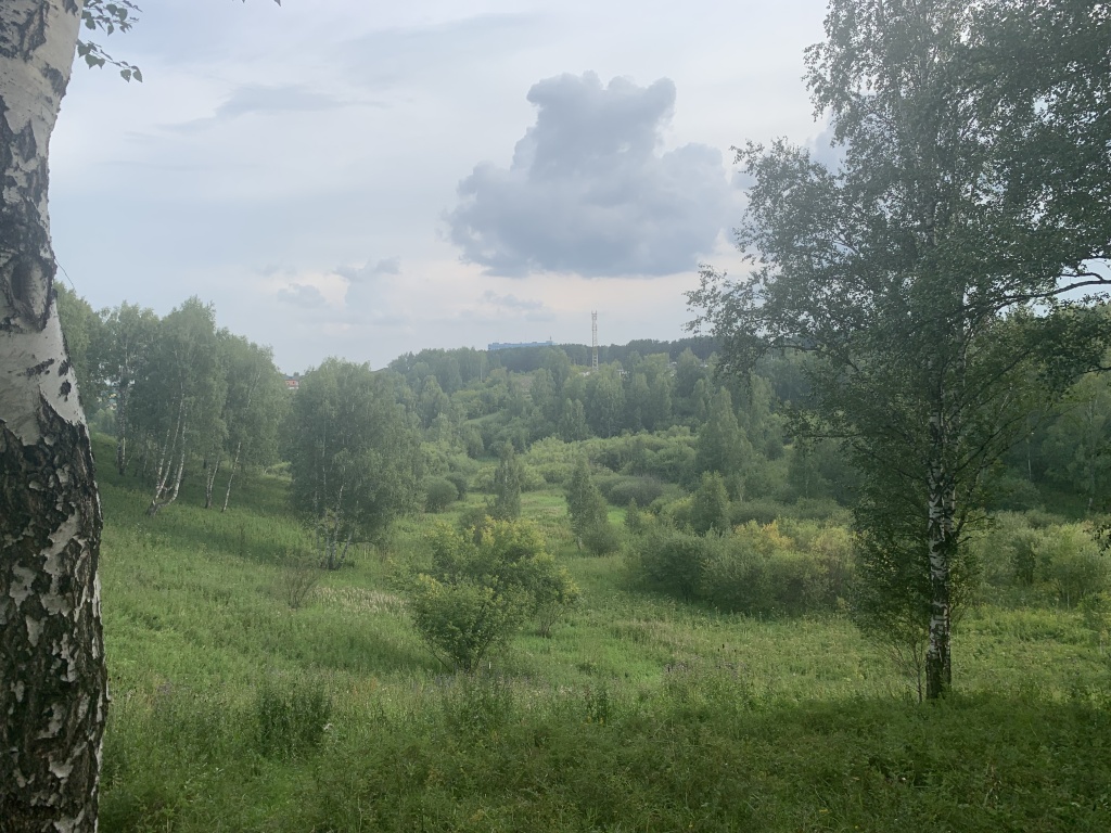 image-31-07-22-06-45-3.jpg