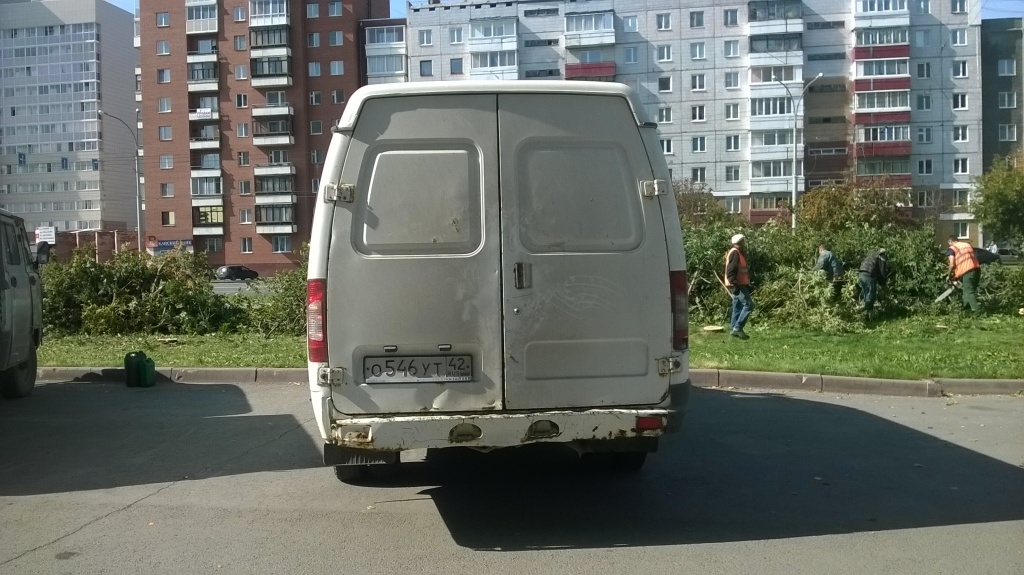WP_20170906_012.jpg WP_20170906_012.jpg