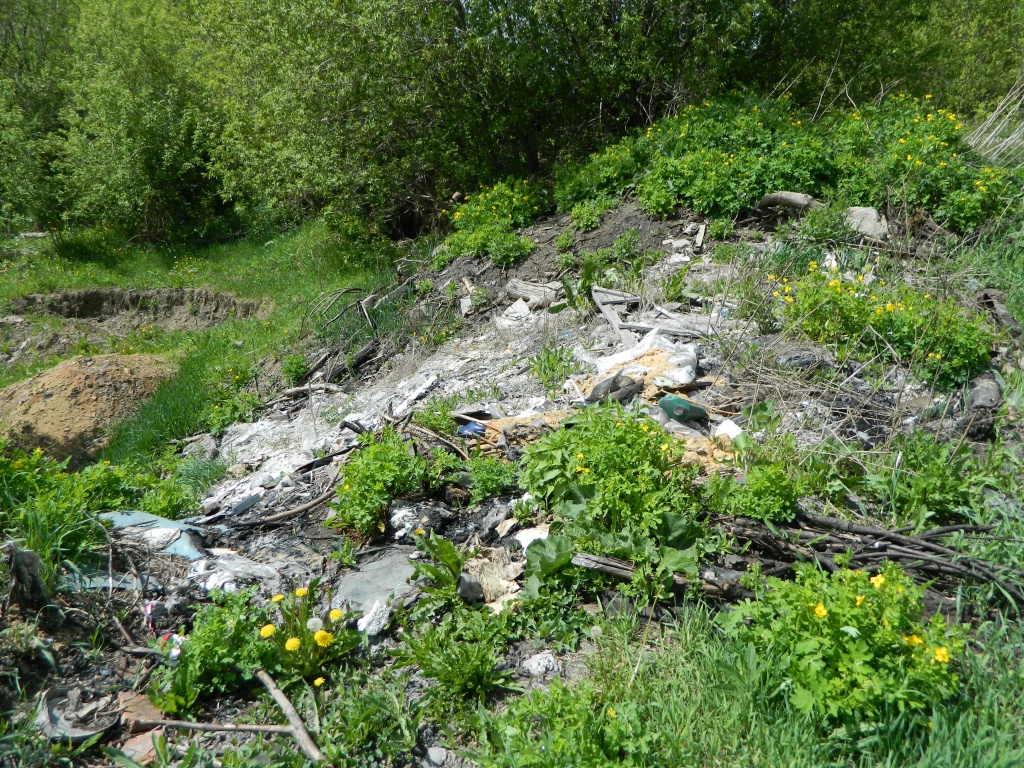 DSCN0916.JPG