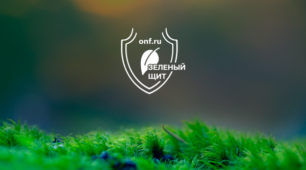 onf-zelenyy_shchit_krasivyy.png
