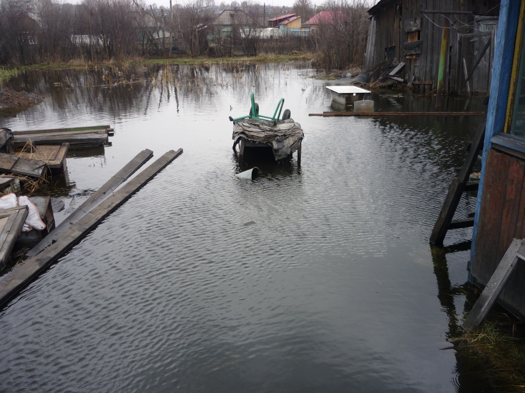 P1110325.JPG