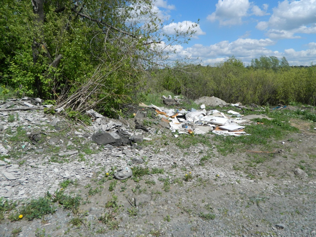 DSCN0935.JPG