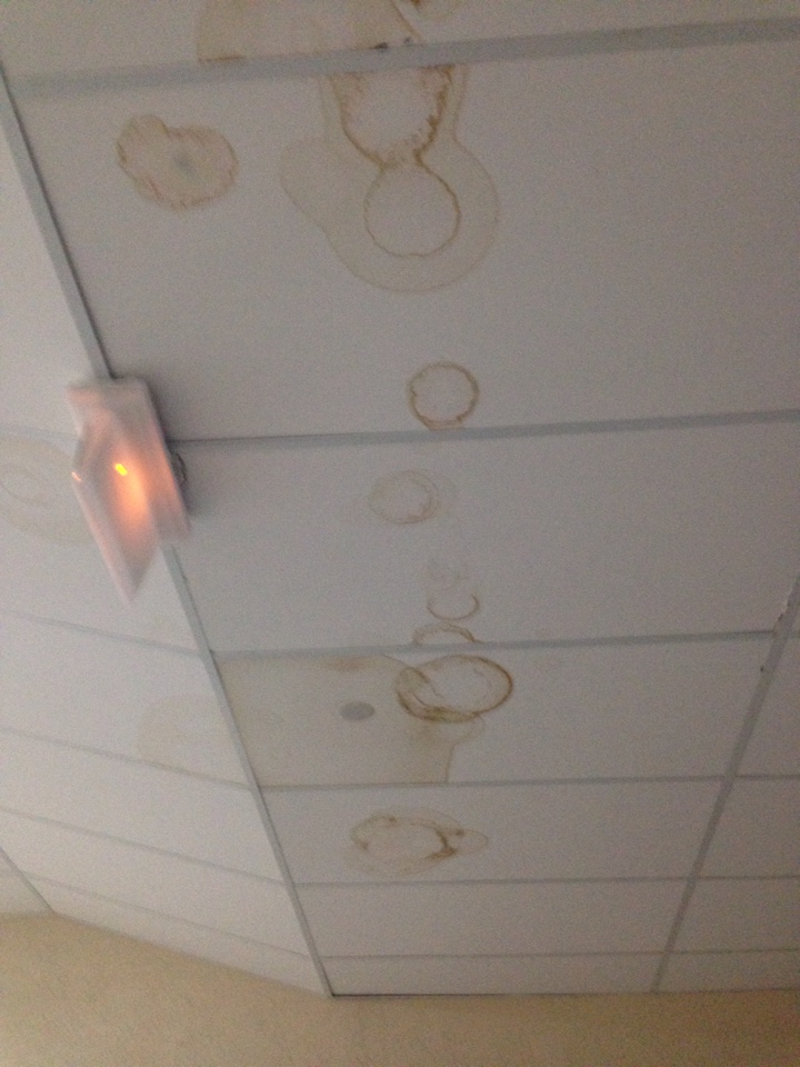 image-18-01-16-11-18-6.jpeg