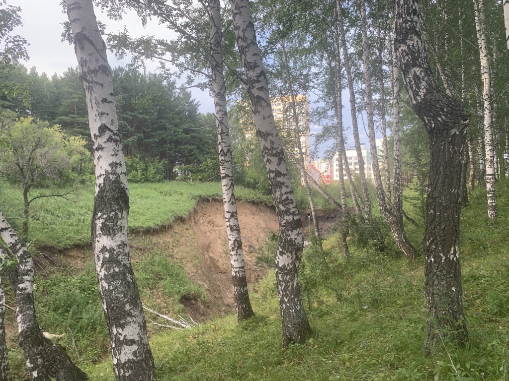 image-31-07-22-06-45-1.jpg