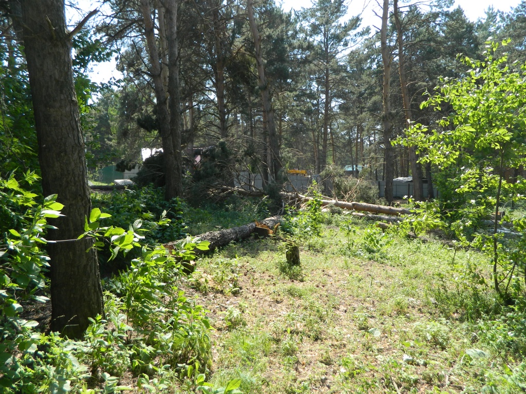 DSCN0958.JPG