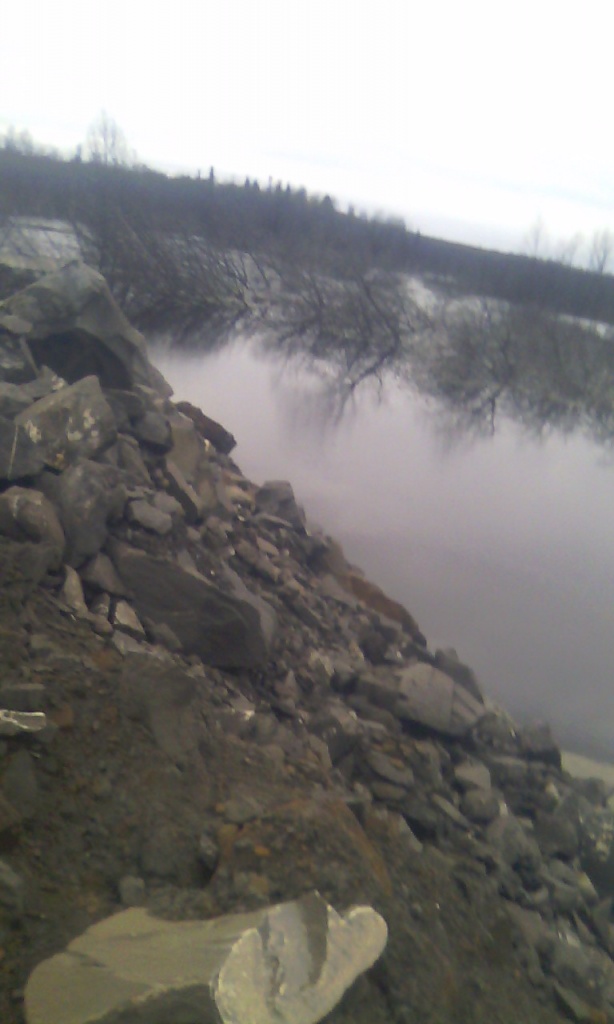 IMG_20151006_111236.jpg