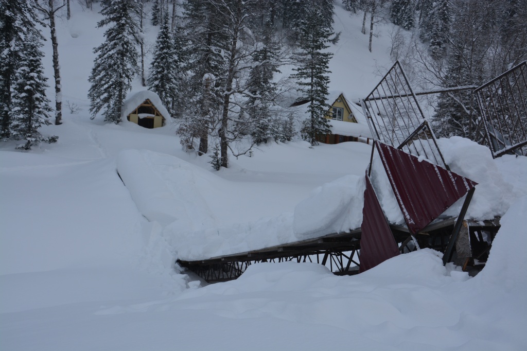DSC_0849 - êîïèÿ.JPG
