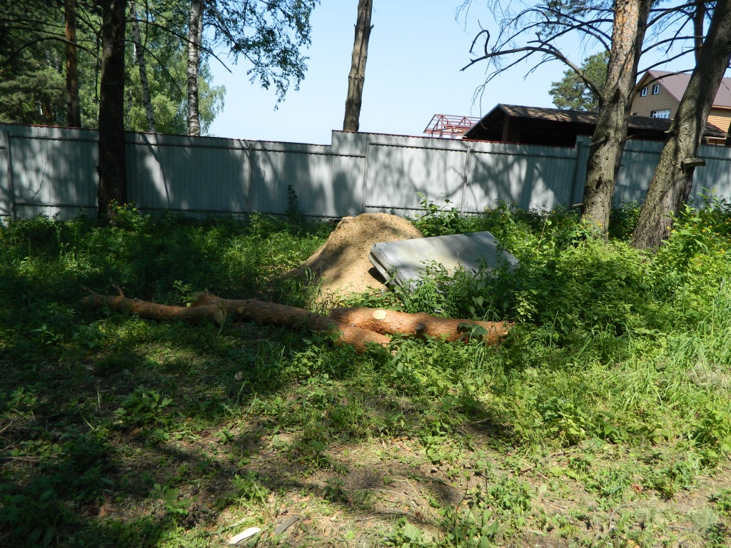 DSCN0968.JPG