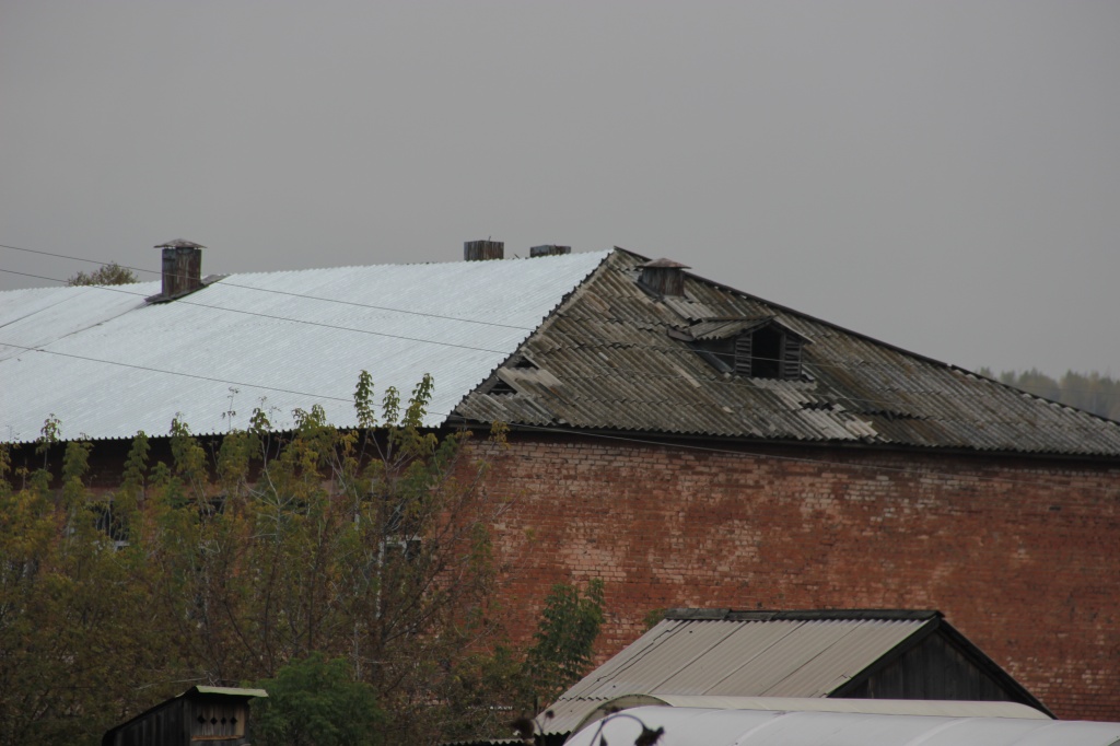 IMG_9337.JPG