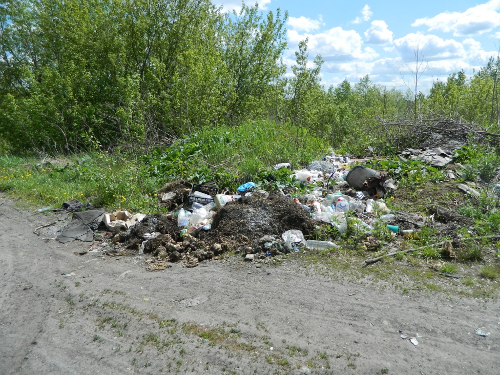 DSCN0914.JPG