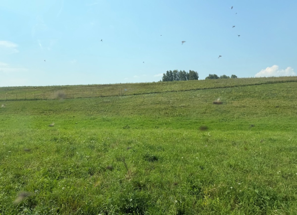 Screenshot_17.jpg