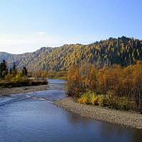 ����������� �������� ���������� "��������" - ������������� ����������� ����