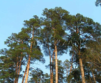 ��������� ��� ������ ������������ ��� � ������������� ��