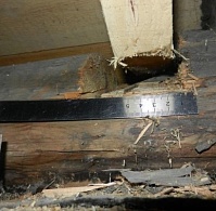 ����� �����, � ������ �� ����