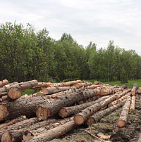 ��������� � ����� "�������" ��������� ����. ��������������� ������.